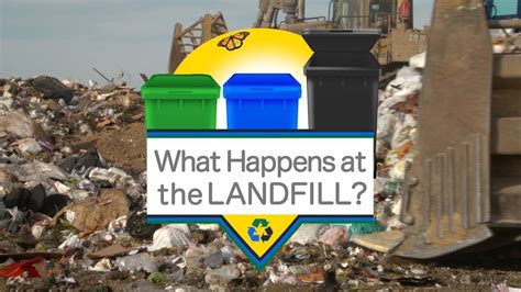 The Environmental Impact of Haebro's Dumpin Magic in Landfills